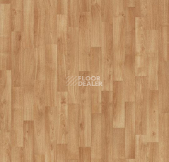 Линолеум Forbo Eternal Wood 11162 tropical beech фото 1 | FLOORDEALER